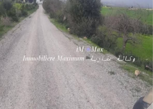 Senia de 3 Hectars - Bien immobilier à {"id":13,"country_id":219,"name":"MANOUBA","slug":"manouba"} - Agence Immobilière immo\'in
