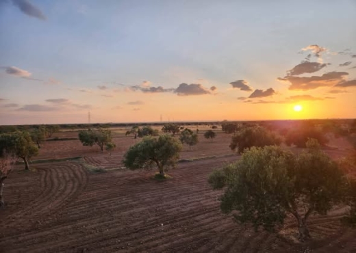 vente d'une exceptionnelle villa - Bien immobilier à {"id":12,"country_id":219,"name":"MAHDIA","slug":"mahdia"} - Image 4 - Agence immobilière Maximum - Agence Immobilière Agence immobilière Maximum